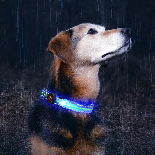 Collar luminoso para Mascotas, Impermeable y de Fibra Óptica