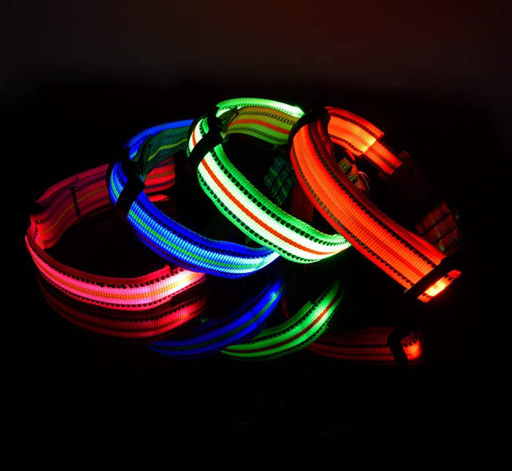 Collar luminoso para Mascotas, Impermeable y de Fibra Óptica