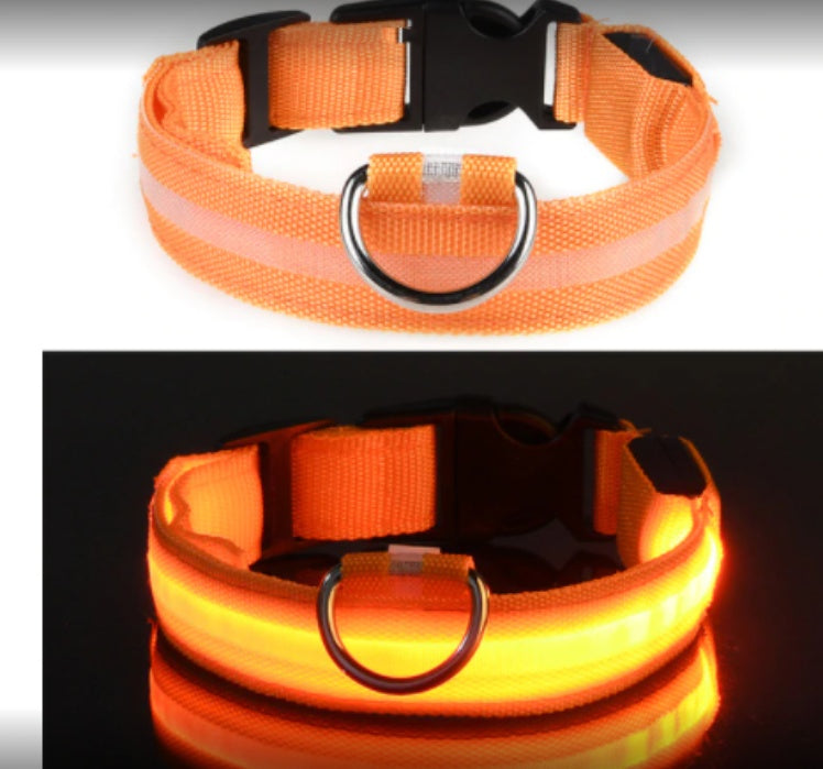 Collar luminoso para Mascotas, Impermeable y de Fibra Óptica